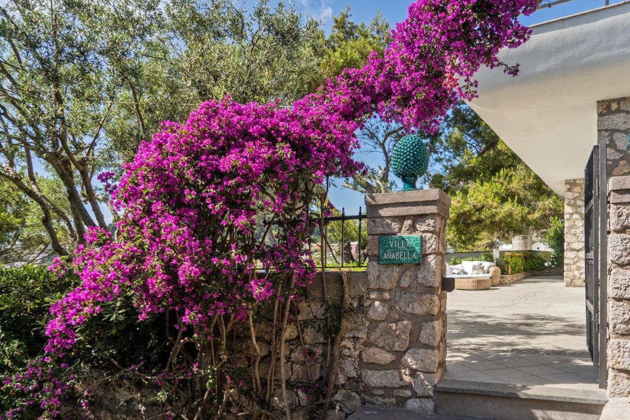 Villa Arabella Capri Eksteriør billede